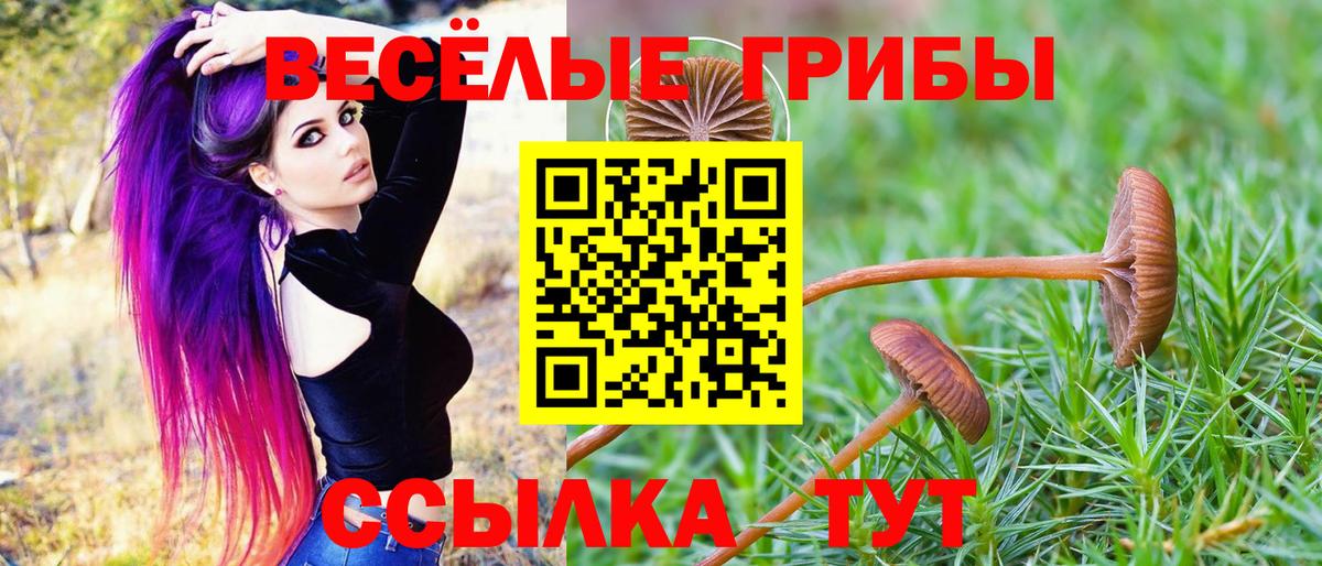 Псилоцибиновые грибы Cubensis  что такое наркотик  Вход с VPN  Татарск  Галлюциногенные грибы MAGIC MUSHROOMS 